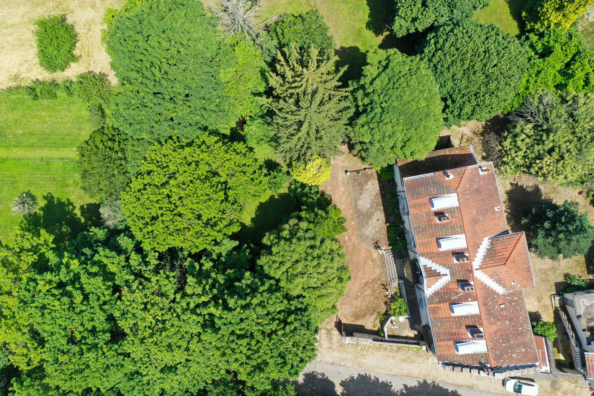 Property view 2
